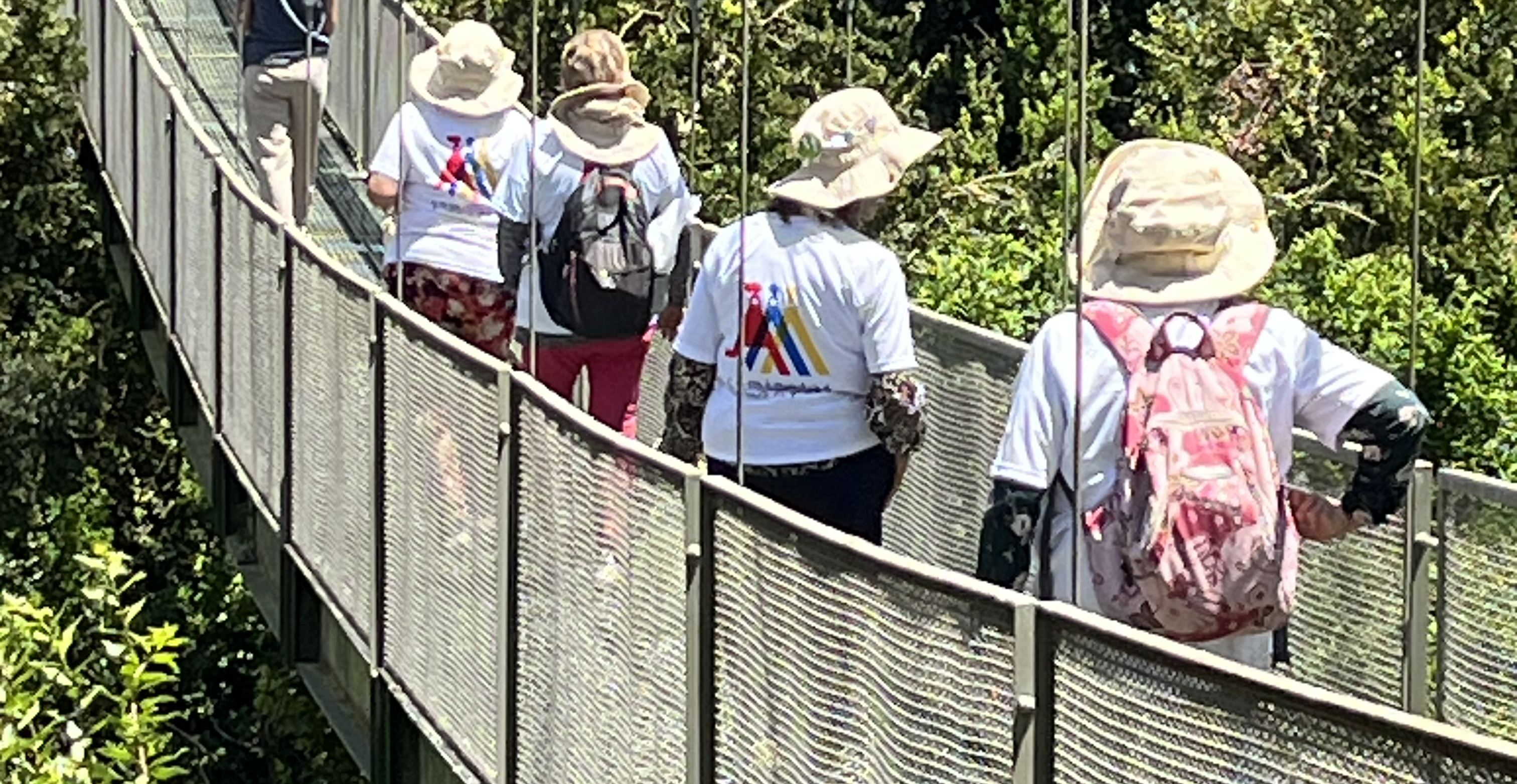 Caminata en el Parque Tricao